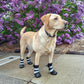 Spark Paws Dog Shoes, Waterproof Dog Boots for Medium to Large Dogs, Non Slip, Breathable Dog Booties and Paw Protectors - 4PCS Doggie Hiking Boots with Reflective Straps - Black - Size 4