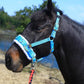 T TEKE Lunge Cavesson with Fleece Lined Nose Band and Crown