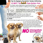 The Blissful Dog Puggle Unscented Nose Butter - Dog Nose Butter, 0.15 Ounce