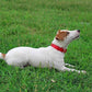 Mikivery Nylon Dog Collar with Quick Release Buckle Soft Adjustable Sturdy for Small Medium Large Dogs Red,M