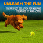 Nerf Dog Tennis Ball Blaster Dog Toy Gift Set, Tennis Ball Dog Fetch Toy Launches up to 50 ft, Dog Ball Thrower for All Breeds Includes Translucent Blue Tennis Ball Launcher and 3 Dog Tennis Balls