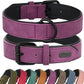 Didog Soft Padded PU Leather Dog Collar, Breathable and Adjustable Dog Collars for Small Dogs, Comfortable for Daily Walk, Purple, M Fit Neck 12-15"(13-22 lbs)