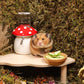 Niteangel Hamster Snack & Treats Toy - Small Animal Natural Treat for Dwarf Syrian Robo Hamsters Gerbils Mice Lemmings Degus or Other Small-Sized Pets