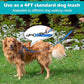 PetBonus Two Point Control Dog Leash, Works with No Pull Harnesses, No Tangle Dog Training Leashes, No Pull Padded and Reflective Walking Lead, Converts to Single Leash for Medium Large Dogs (Blue)