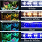 Koller Products 6.5-Gallon Aquarium Kit with Power Filter and LED Lighting, (AP650)