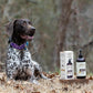Hemp Well Thrive Oil for Dogs and Cats – Supports Hip, Joint, and Heart Health, Promotes Immune Support, Strengthens Skin and Coat, Organically Sourced – 2 Ounces