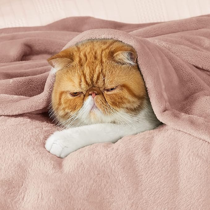Bedsure Fleece Blanket Twin Size Dusty Pink - 300GSM Lightweight Plush Fuzzy Cozy Soft Warm Blanket for Bed, Sofa, Couch, Travel, Camping, 60x80 inches