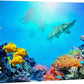wall26 Canvas Print Wall Art Vibrant Coral Reef Shark Fish Anemone Reef Nature Animals Photography Realism Rustic Scenic Landscape Wilderness Earth for Living Room, Bedroom, Office - 24"x36"