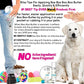 The Blissful Dog Kuvasz Boo Boo Butter, 16 Ounce