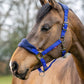 LeMieux Vogue Fleece Headcollar - Halter & Leadrope - Extra Padding, Adjustable at Curb and Poll Strap
