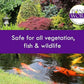 Pondworx Pond Bacteria - Concentrated & Formulated for Water Features - Safe for Koi - 16 Ounces & Treats up to 2,500 gallons of Water