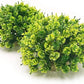 BEGONDIS 2Pcs Aquarium Decorations Fish Tank Artificial Green Water Plants Made of Soft Plastic