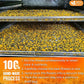 FreshDrinkUS, Premium 5oz Chrysanthemum Flowers, 100% Natural & Pure Chrysanthemum Flower Dried, Chrysanthemum Herbal Tea, No Additives, No Caffeine, Vegan