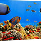 wall26 Canvas Print Wall Art Tropical Island Underwater Fish Red Anemone Nature Animals Photography Realism Rustic Scenic Landscape Wilderness Colorful for Living Room, Bedroom, Office - 24"x36"