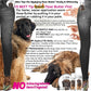 The Blissful Dog Leonberger Nose Butter for Dry, Cracked Skin, Lick-Safe Dog Nose Balm with Moisturizing Shea Butter, Almond, Olive, and Essential Oils, Pet Supplies, Uncented, 0.15 oz.