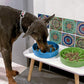 LE TAUCI Dog Bowls Slow Feeder Ceramic, 1.5 Cup Slow Feeding Bowl for Small and Medium Breed, Puzzle Dog Food Bowl for Fast Eater, Vortex Blue