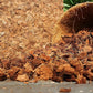 Organic Coco Chips for Plants (10lbs) - Coco Coir Chips - Coconut Husk Chips for Potting Soil, Garden Soil, & Seed Starter Soil - Coconut Mulch for Garden - Compressed Coconut Chips for Plants