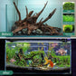 WDEFUN Natural Driftwood for Aquarium Decor, 5-Piece 5''-8'' Large Driftwood for Decorations on Fish Tank, Reptiles Bearded Dragon Accessories or Air Plants
