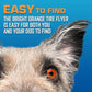 Nerf Dog Atomic Flyer Outdoor Dog Toy, 10 Inch Flying Disc Dog Fetch Toy, Rubber Dog Toy for Medium Dogs and Large Dogs, Orange