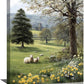 Country Sheep Canvas Wall Decor Farmhouse Rustic Lamb Wildflower Wall Art Nature Countryside Landscape Pictures Painting Print Framed Artwork Decorations for Bathroom Living Room Bedroom 12"x16"