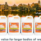 Pondworx Pond Bacteria - Formulated for Water Features and Safe for Koi (4 Gallon Value Pack)