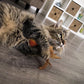 SmartyKat (2 Count) Flutter Balls Feather Cat Toys - Multi Color, 2 Count