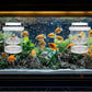 2 Pcs Breeder Box for Fish Tank Aquarium Breeder Separation Net Breeding Box with Suction Cup for Small Fish Shrimp Clownfish Guppy (White,L)