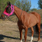 Horse Fly Mask with Ears, UV Protection Mask for Horses, Elasticity Mask with Big Mesh Eye Covers, Snug Fitting Comfortable Breathable Lightweight Hot Pink Cob