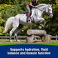 Farnam Apple Elite Electrolyte Paste Supplement for Horses, Replaces Vital Minerals, Encourages Hydration, No Added Sugar, 60 cc syringe