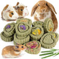 Sofier 28Pcs Timothy Hay Treats Rabbit Toys Bunny Toys Guinea Pig Natural Handmade Treats and Chews for Small Animals Hamster Chinchilla Rat Gerbil
