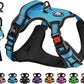 NESTROAD No Pull Dog Vest Harness with Leash, Adjustable Reflective Oxford Pet Harness with Easy Control Handle for Small Dogs, Blue
