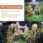 6-8 Inches Natural Dragon Stone 6 PCS Aquarium Rocks for Aquascaping, Aquarium Landscaping, Terrariums, Fish Tank Decoration, Vivariums, Paludarium, Reptile and Amphibian Enclosures