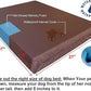 Dogbed4less Orthopedic Memory Foam Dog Bed for Medium Dogs with Washable Denim Cover, Waterproof Liner and Extra Pet Bed Case, 37X27X4 Inch, Brown