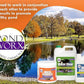 Pondworx Pond Bacteria - Formulated for Water Features and Safe for Koi (4 Gallon Value Pack)