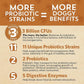 Fidobiotics Good Guts for Lil Mutts Probiotic for Dogs, Billions of CFUs, 11 Strains, 5 Digestive Enzymes, 2 Prebiotics, Digestive Gut Health for Dogs, Adult & Puppy Probiotics Supplements (30 Days)