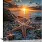Beach Starfish Wall Decor Ocean Starfish Wall Art Sunset Scenery Coastal Theme Pictures Canvas Nature Seascape Painting Print Framed Artwork Decorations for Home Bathroom Living Room Bedroom Office 24"x20"