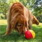 Outward Hound by Nina Ottosson Treat Tumble Interactive Puzzle Ball Dog Toy, Level 1 Beginner, Pink, Large (5.75" Diameter)