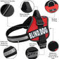 Doggie Stylz Blind Dog Harness No Pull No Escape Dog Vest for Blind Dogs Adjustable Vest with Handle Blind Dog Accessories and Patches for Training and Mobility