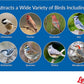 Lyric Wild Bird Mix - Wild Bird Food for Outside Feeders - Attracts Doves, Jays and many more - 20 lb. Bag