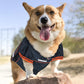Pets First NFL Unisex-Adult NFL Jerseys