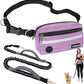 PetAmi Hands Free Dog Leash, Dog Running Leash Belt for Walking Jogging, Dog Waist Zipper Pouch Fanny Pack with Poop Bag Dispenser, Dual Padded Handle Bungee Leash for Small Medium Large Dogs, Single