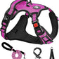 NESTROAD No Pull Dog Harness,Adjustable Oxford Dog Vest Harness with Leash,Reflective No-Choke Pet Harness with Easy Control Soft Handle for Small Dogs(Small,Fuchsia Pink)