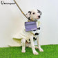 Dog Treat Pouch, Pocket Sized Pet Training Pouch, Hand Free Purple Dog Walking Bag with Carabiner, Self-Closing Pet Feed Snack Reward, for Puppy Travel or Outdoor Use, NanoPTC