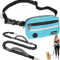 PetAmi Hands Free Dog Leash, Running Leash Belt for Walking, Jogging, Waist Zipper Pouch with Poop Bag Dispenser, Dual Padded Handles, Reflective Durable Bungee Single, Turquoise, 1