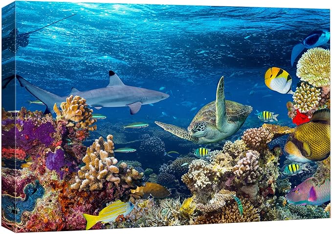 wall26 Canvas Print Wall Art Tropical Island Underwater Turtle Shark Nature Animals Photography Realism Rustic Scenic Landscape Wilderness Earth Colorful for Living Room, Bedroom, Office - 24"x36"