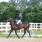 T TEKE Close Contact Saddle Pads,100% Cotton English Saddle Pads for Horses with Moisture-Wicking and Breathable Lining