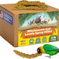 Birds LOVE Wholesome & Lovely Spray Millet Non-GMO for Birds Cockatiel Lovebird Parakeet Finch Canary All Parrots Healthy Treat - 2LBS