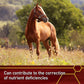 Pro E and Horse Selenium Supplement, Balanced Essential Antioxidants, 4 Pound, 64-Day Supply