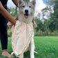 Tuff Pupper Quick Dry Towel for Dogs | Ultra Absorbent Microfiber Shammy | Extra Large 35x15 Size for All Breeds | Comfortable Hand Pockets | Indoor Outdoor Use | Durable Material | Machine Washable