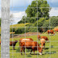 Cattle Farm Fence, 5ft x 164ft Galvanized Wire Fencing for Goat Deer Hog Yard Livestock Animals Protection